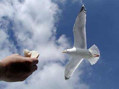 Photo 20