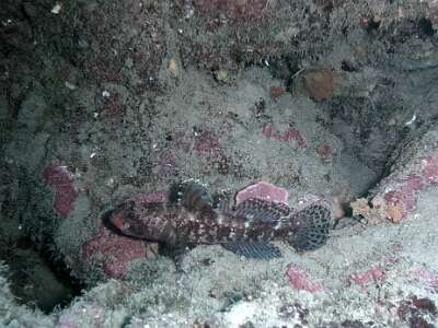 P4140013