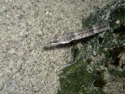 P7140109