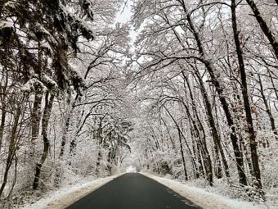 Hiver