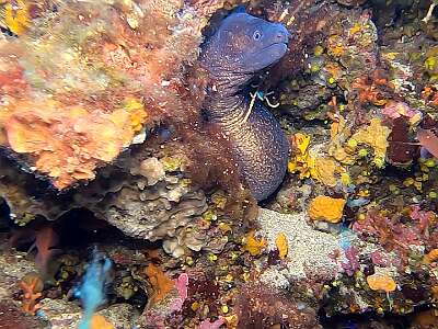 GH012138.MP4.10 25 45 52.Still005